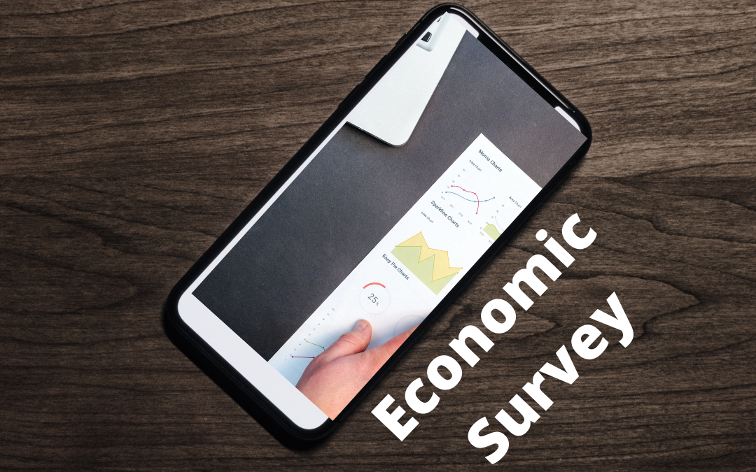 Information About Economic Survey—Click here