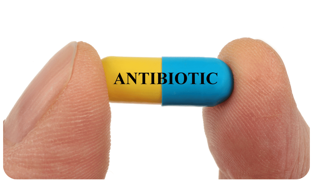 India’s First Indigenous Antibiotic Nafithromycin: Tackling Antimicrobial Resistance!